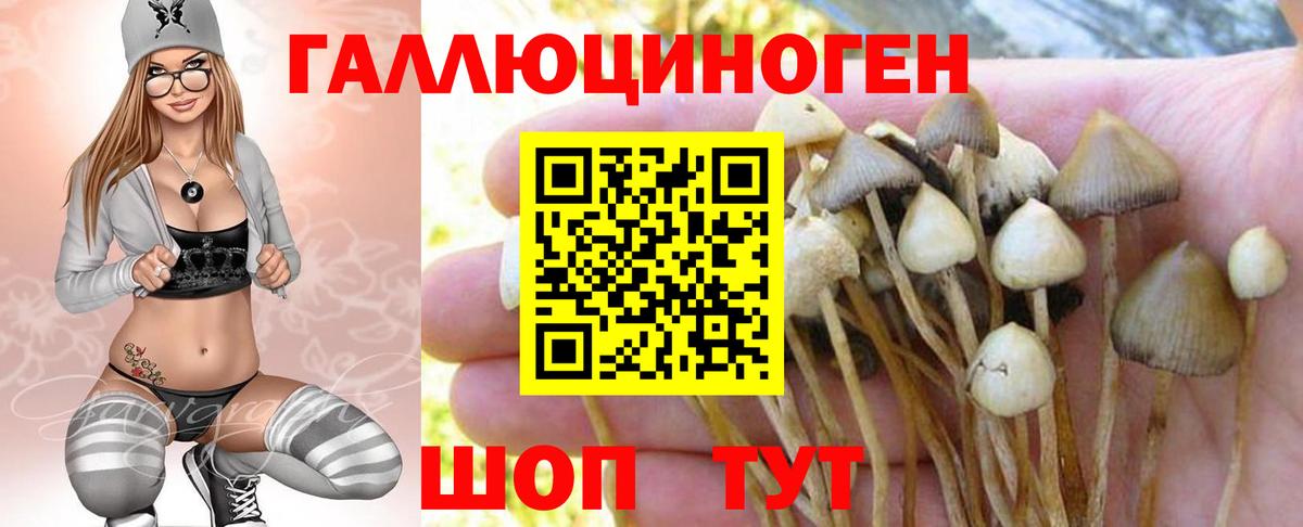 Псилоцибиновые грибы Magic Shrooms Комсомольск-на-Амуре