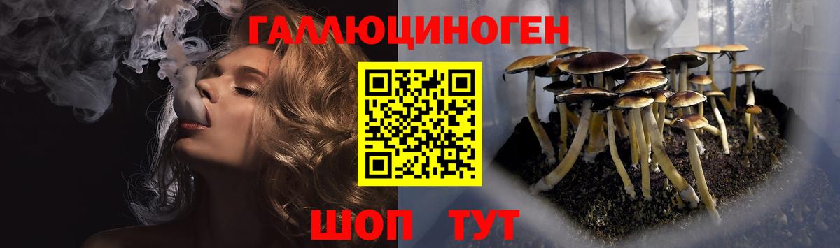 Галлюциногенные грибы MAGIC MUSHROOMS  Вход с VPN  закладка  Комсомольск-на-Амуре  Галлюциногенные грибы Psilocybine cubensis 